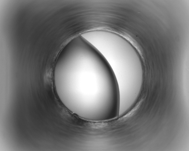 X0000089741001200706210900