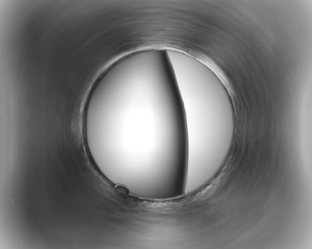 X0000089741004200706210900