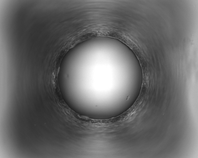 X0000089741010200706210859