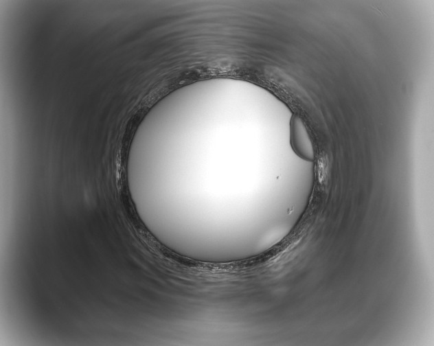 X0000089741011200706210859