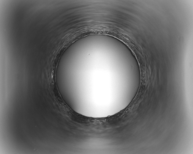 X0000089741013200706210859