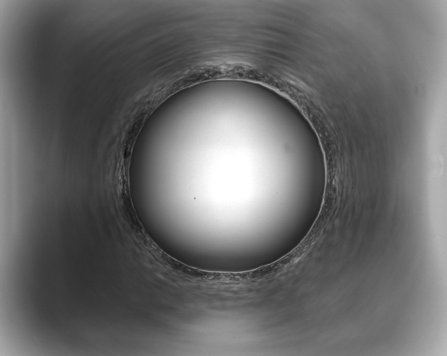 X0000089741014200706210859