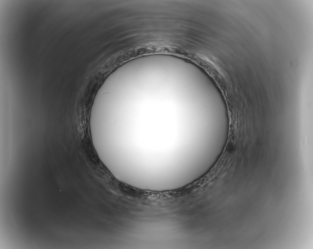 X0000089741015200706210859