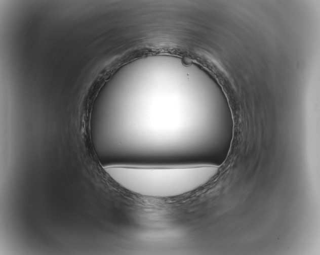 X0000089741016200706210859