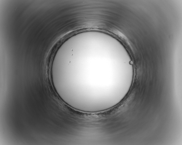 X0000089741019200706210859