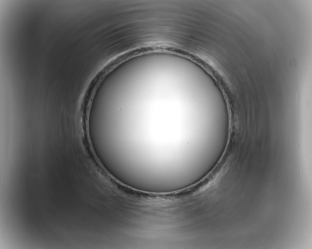 X0000089741022200706210859