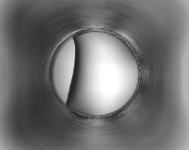 X0000089741023200706210859
