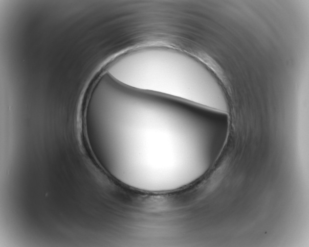 X0000089741028200706210900