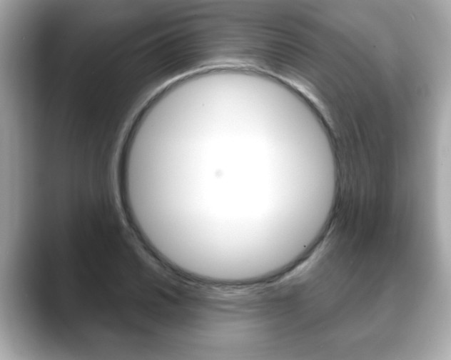 X0000089741030200706210900