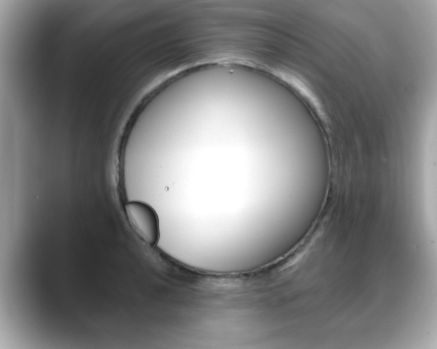 X0000089741040200706210900