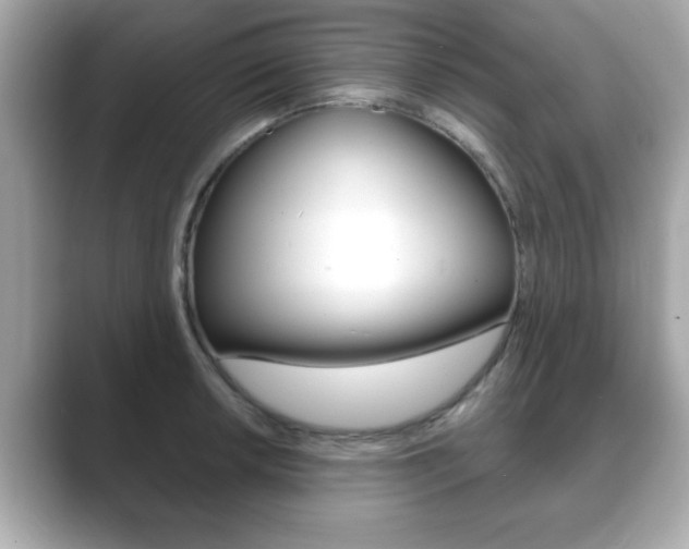 X0000089741042200706210900