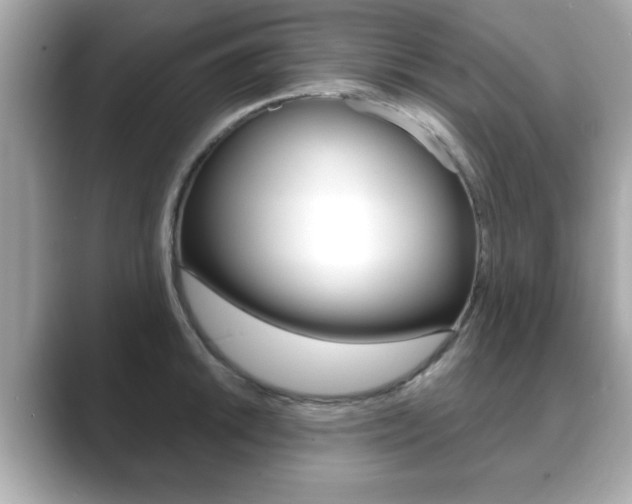 X0000089741046200706210900