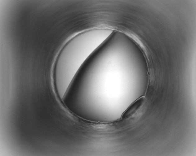 X0000089741048200706210900