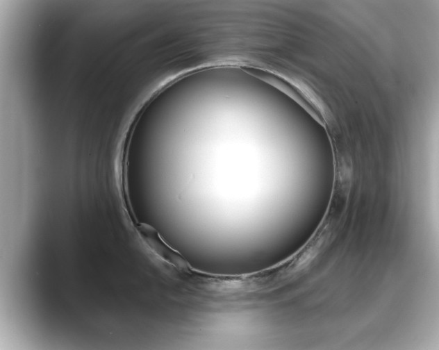 X0000089741054200706210900