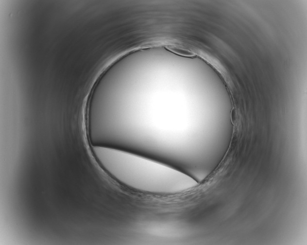 X0000089741055200706210900