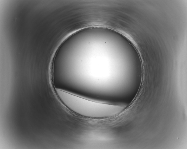 X0000089741056200706210900