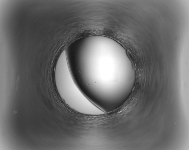 X0000089741057200706210859