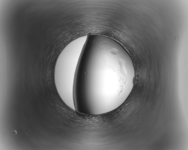 X0000089741058200706210859