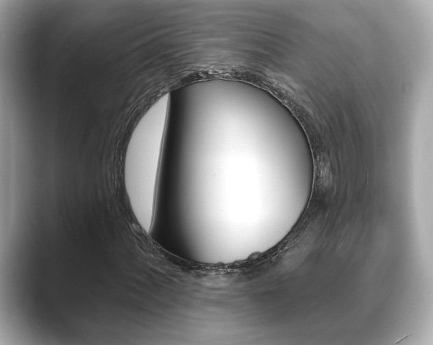 X0000089741060200706210859