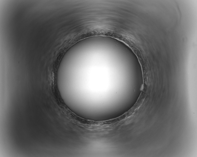 X0000089741061200706210859