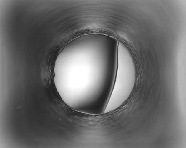 X0000089741062200706210859