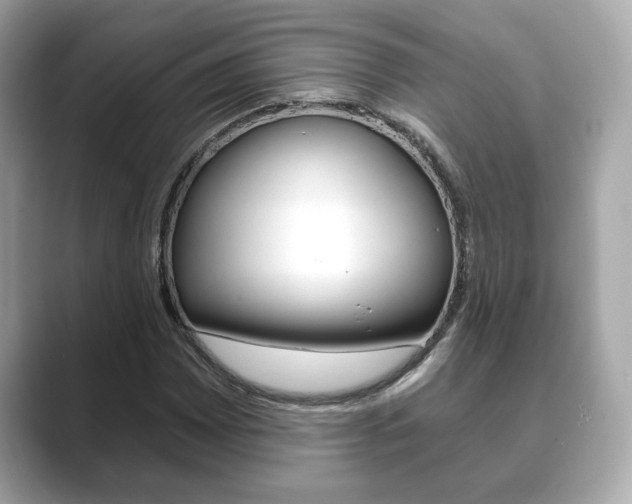 X0000089741065200706210859