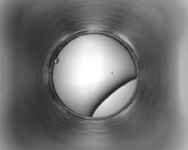X0000089741067200706210859