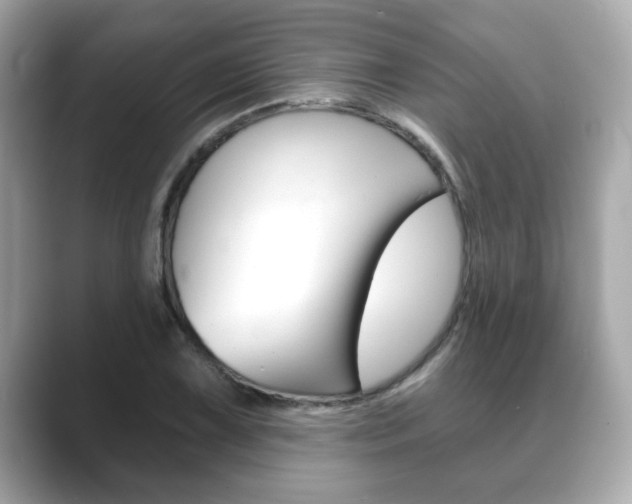 X0000089741075200706210859