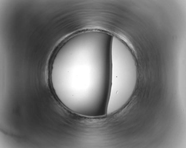X0000089741076200706210859