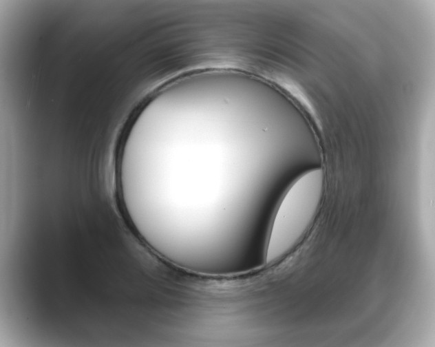 X0000089741080200706210859
