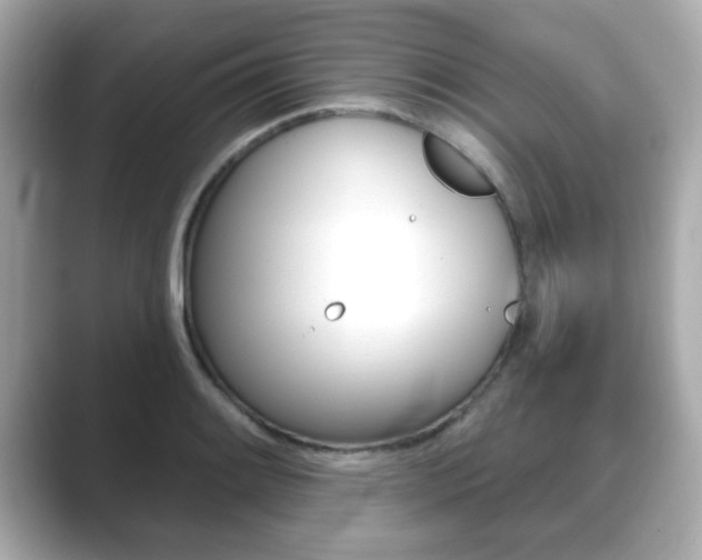 X0000089741084200706210859