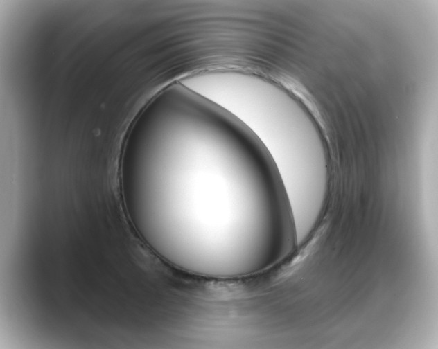 X0000089741089200706210859