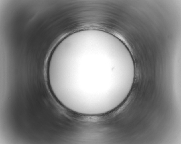 X0000089741090200706210859