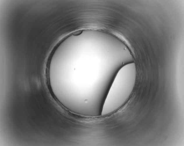 X0000089741091200706210859