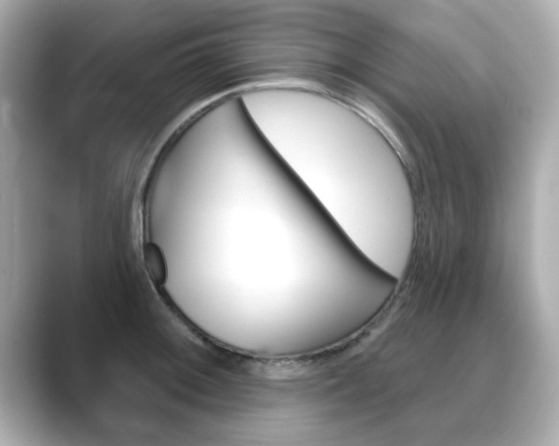 X0000089741092200706210859