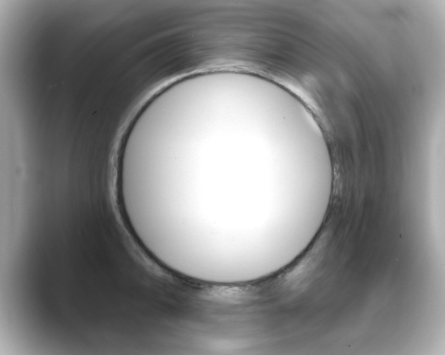 X0000089741094200706210859