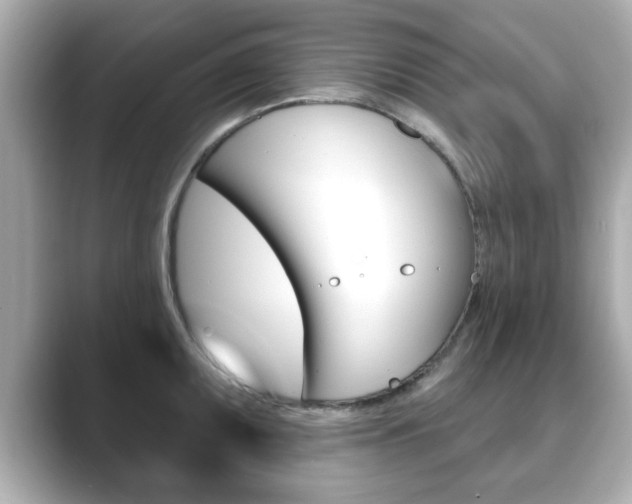 X0000089741095200706210859