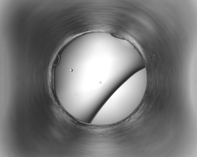 X0000089741099200706210859