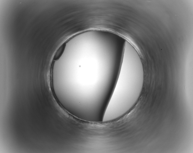 X0000089741100200706210859
