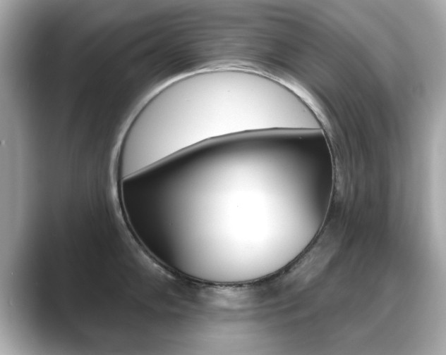 X0000089741102200706210859