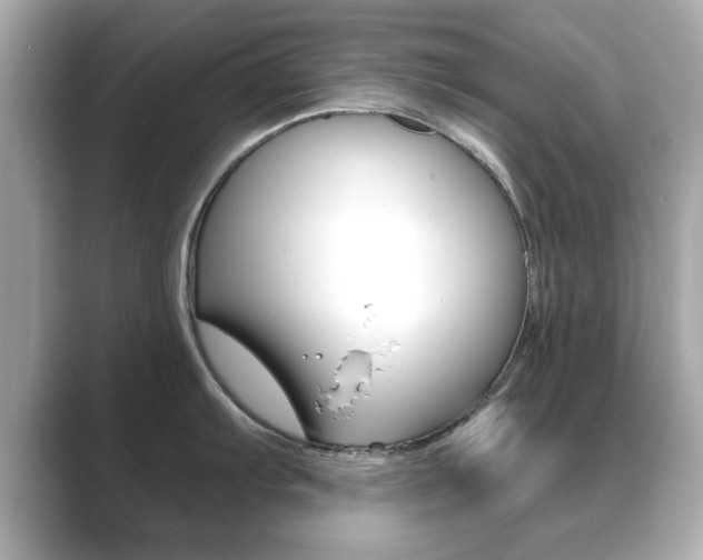 X0000089741103200706210859