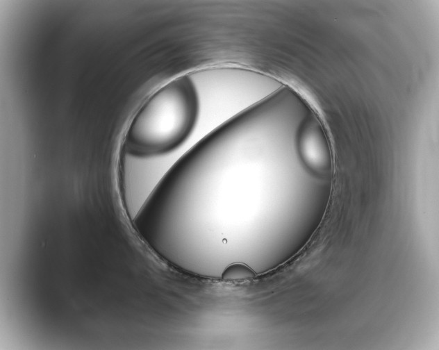 X0000089741104200706210859