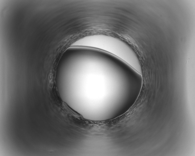X0000089741110200706210858