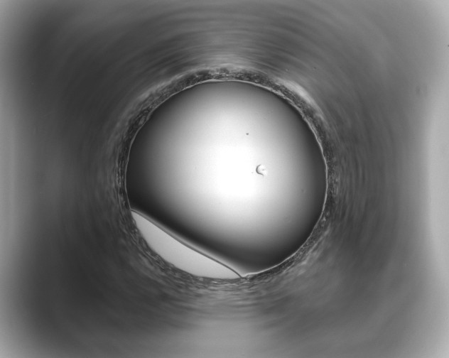 X0000089741112200706210858