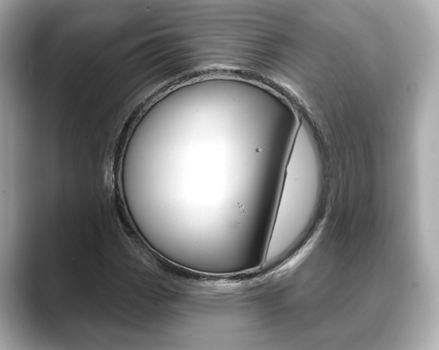 X0000089741113200706210858