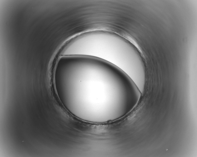 X0000089741116200706210858