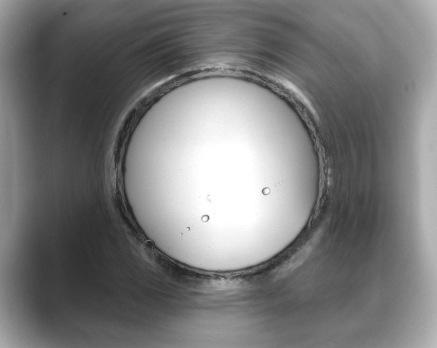 X0000089741117200706210858