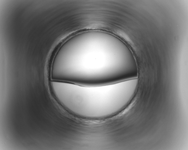X0000089741122200706210858