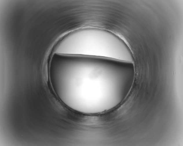 X0000089741123200706210858