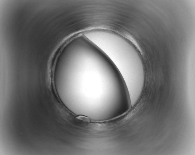X0000089741124200706210858